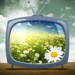 Códigos TV y vídeo