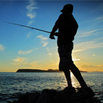 Códigos Pesca deportiva
